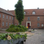 Lindetrærne fældes 1. juli 2013